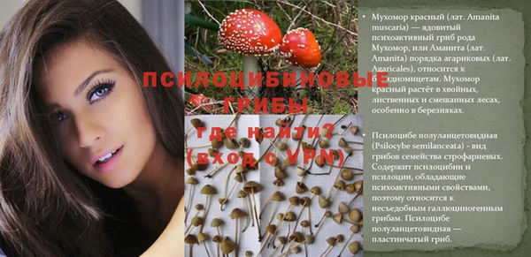спайс Алексин