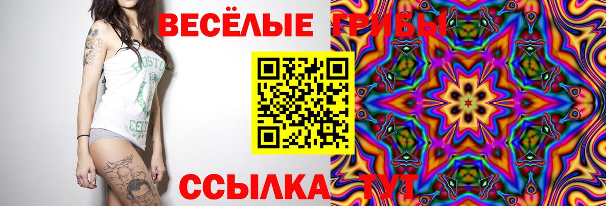 Невинномысск  Галлюциногенные грибы мицелий  Вход с VPN  Псилоцибиновые грибы Psilocybine cubensis 